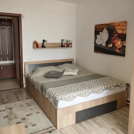 Apartament Belvedere Apartment *