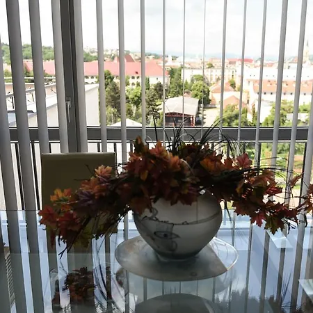 Appartamento Apartament Belvedere Cluj-Napoca